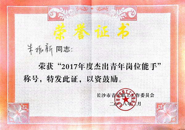 乐投网站智能朱振新荣获长沙市2017年度杰出青年岗位能手