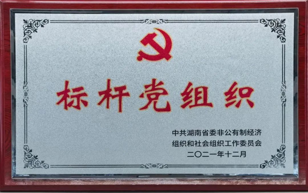 党建品牌亮起来！乐投网站智能党委获评“标杆党组织”