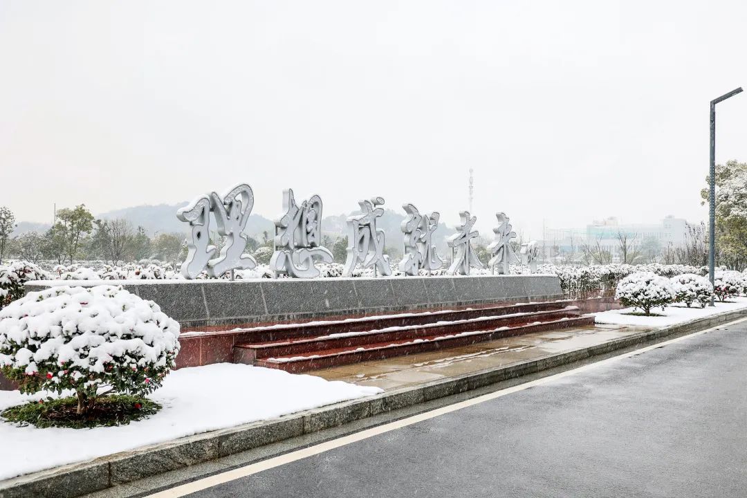瑞雪兆丰年，邀您共赏雪中乐投网站！