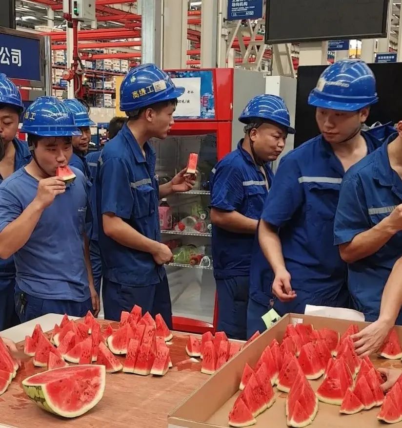 乐投网站智能“降暑套餐”，只为不服“暑”的你